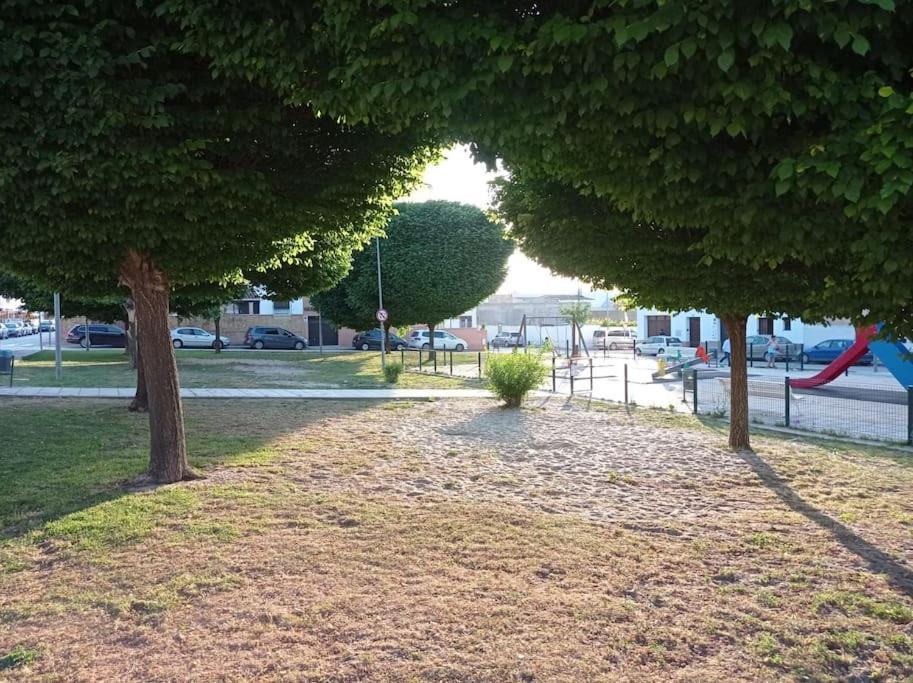 Acogedor Loft A 30 Minutos De La Playa Y Montana Lägenhet Lebrija Exteriör bild
